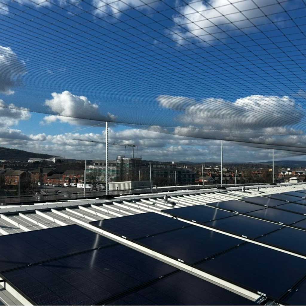 Bird netting for solar panels