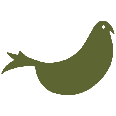 pigeon dark
