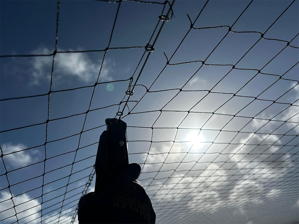 pigeon proof netting installation
